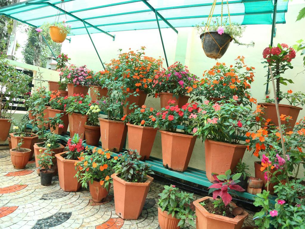 Mangalappillil Homestay Munnar Buitenkant foto